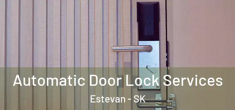Automatic Door Lock Services Estevan - SK