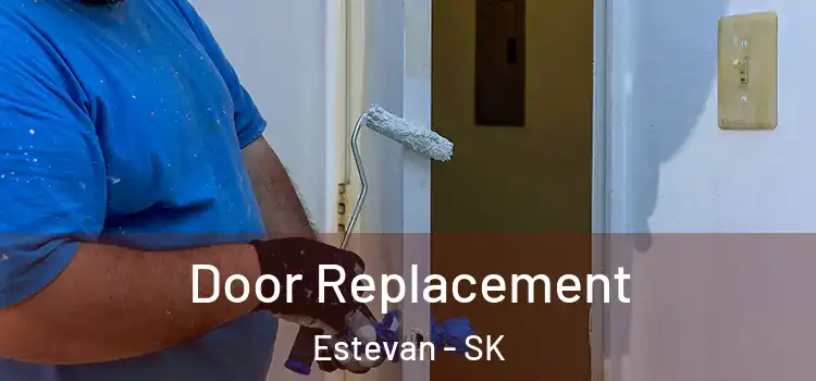 Door Replacement Estevan - SK