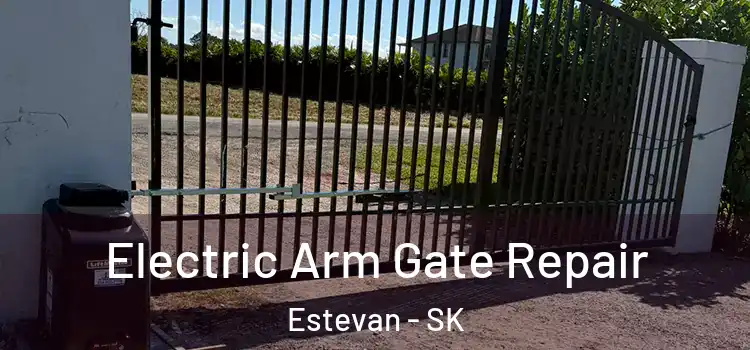Electric Arm Gate Repair Estevan - SK