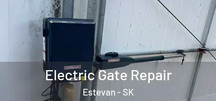 Electric Gate Repair Estevan - SK