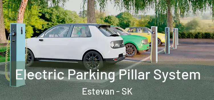 Electric Parking Pillar System Estevan - SK