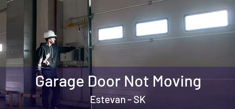  Garage Door Not Moving Estevan - SK