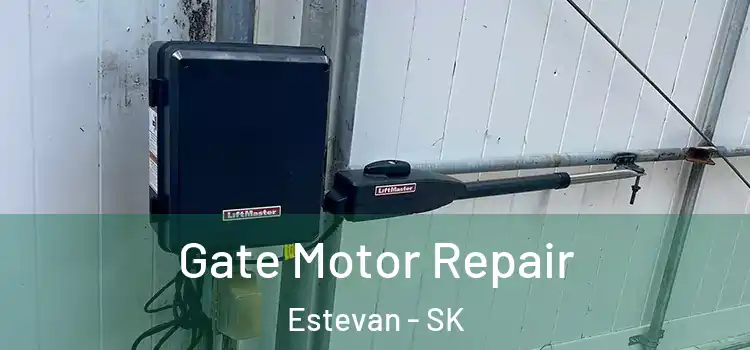 Gate Motor Repair Estevan - SK