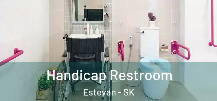 Handicap Restroom Estevan - SK
