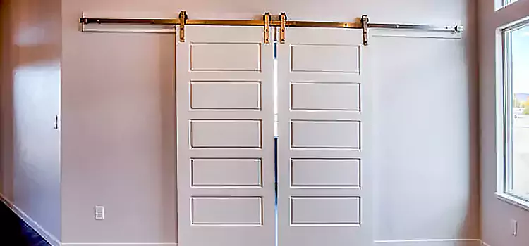 Glass Barn Door with Installation Hardware Kit Estevan