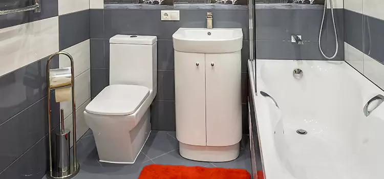 Hansgrohe Shaving Mirror Estevan