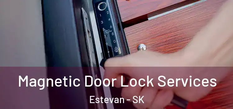 Magnetic Door Lock Services Estevan - SK