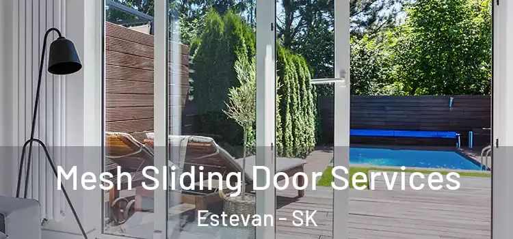 Mesh Sliding Door Services Estevan - SK