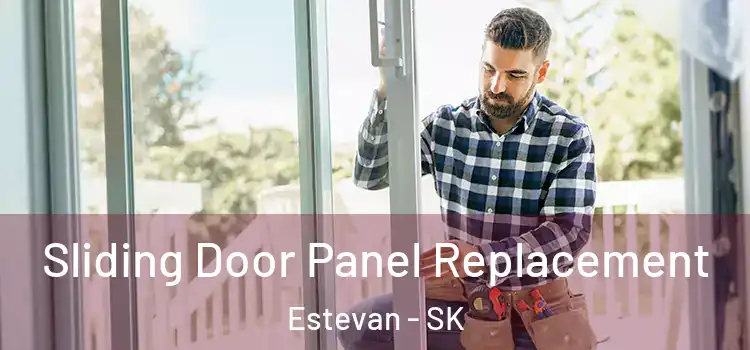  Sliding Door Panel Replacement Estevan - SK